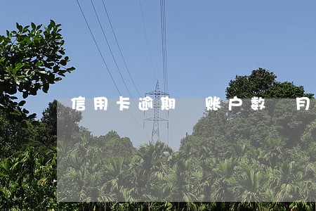 信用卡逾期 账户数 月份数 信用卡逾期 账户数 月份数